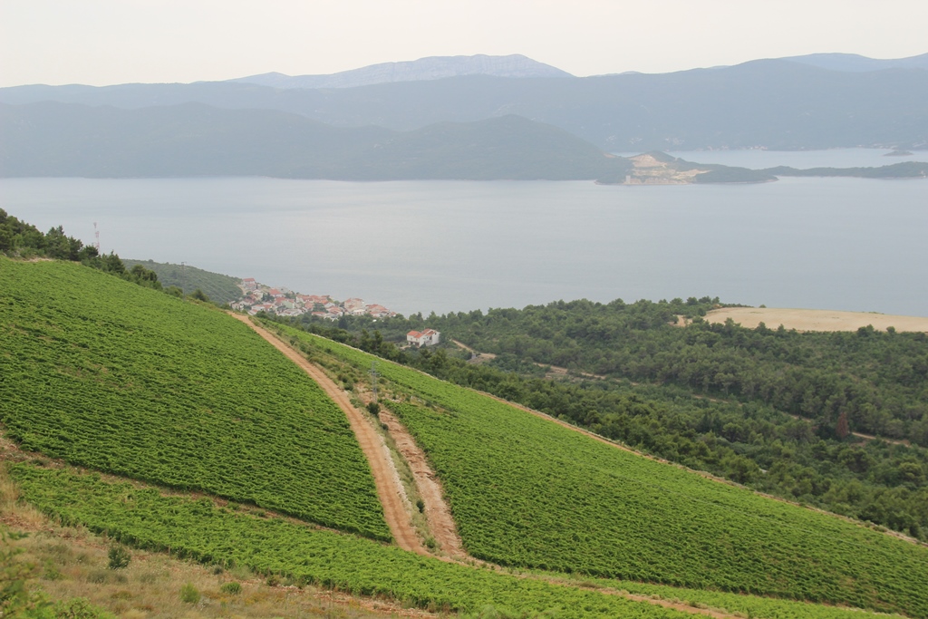 WiNe Thematic wine route Peljesac