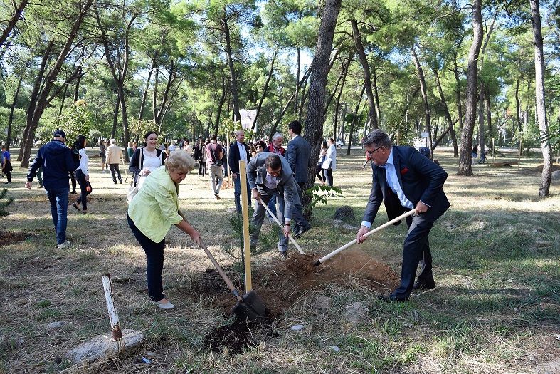 Toloska suma 14